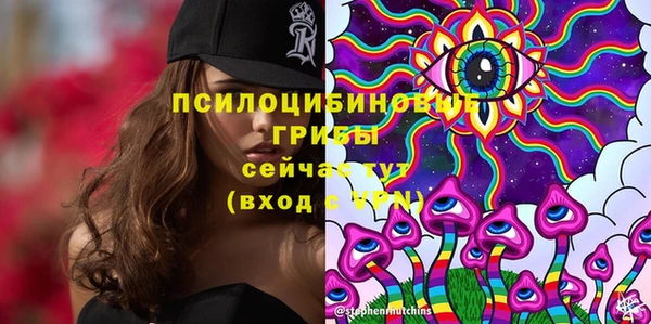 spice Заводоуковск