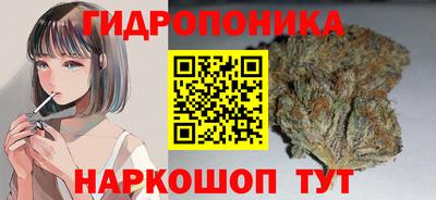 гашик Донецк