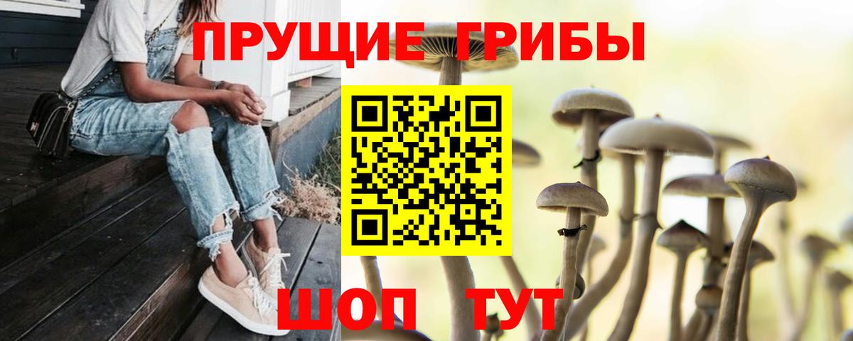 Псилоцибиновые грибы прущие грибы Канаш