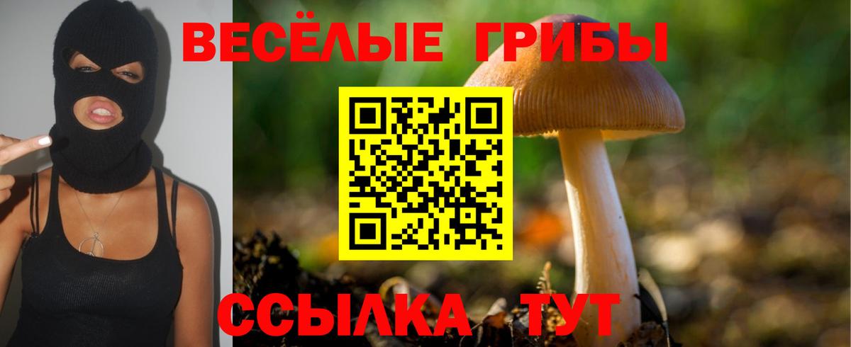 Канаш  Псилоцибиновые грибы прущие грибы  Вход с VPN  Галлюциногенные грибы Magic Shrooms 